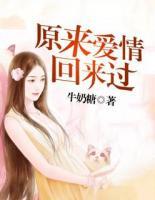 原来爱情回来过