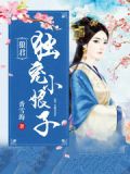 贵妃她来自民间