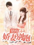 契约：娇妻别跑