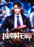 独尊龙帅
