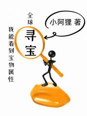 全球寻宝:我能看到宝物属性全集阅读