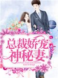 神秘总裁小娇妻