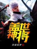 盖世神将