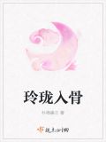 玲珑入骨