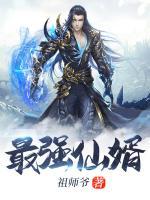 最强仙婿小说下载