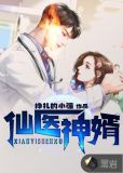 仙医神婿