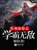 哈利波特之学霸无敌