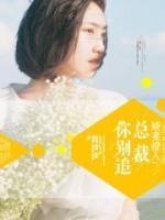 错遇娇妻:总裁你别追