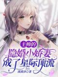 主帅 小说