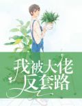 豪门绝爱乱心