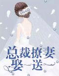 总裁撩妻宝贝娶一送一
