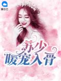 苏少暖宠入骨