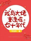 我与大佬重逢在七十年代