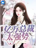 亿万总裁缠绵爱
