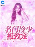 豪门总裁的暗夜情人