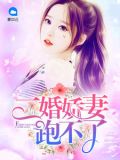 司先生，太太又在虐渣了