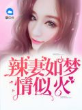 总裁宠妻超高调