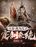 大秦：我为儿子定制系统