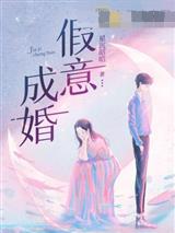 假意成婚
