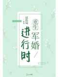 重生八零进行时