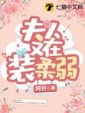 夫人又在装柔弱