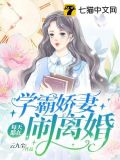 学霸娇妻每天都在闹离婚