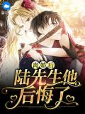 离婚后陆先生他后悔了