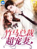 宋墨陆时律