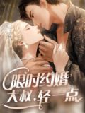 限时婚约大叔