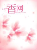 美女,老板
