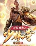 开局被卖入少林寺