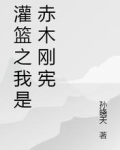 灌篮之我是赤木刚宪