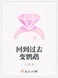 回到过去变鹦鹉