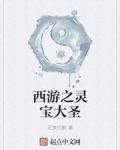 西游之灵宝大圣
