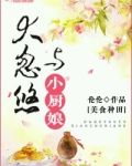 大忽悠与小厨娘