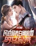 开局,民政局表白刚离婚的女总裁小说