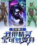 全民骑士：我用精灵宝可梦变身