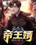 帝师王婿