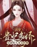 清穿贵妃多娇，引康熙九龙竞折腰