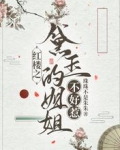 红楼之黛玉的姐姐不好惹