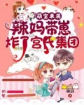 萌宝来袭：辣妈带崽炸了宫氏集团