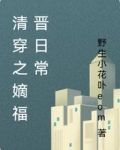 清穿之嫡福晋日常