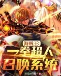 海贼王：一拳超人召唤系统