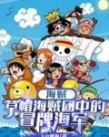海贼：草帽海贼团中的冒牌海军