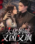 大佬妈咪又凶又飒