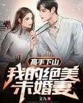 高手下山：我的绝美未婚妻