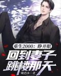 重返2000：全能大明星