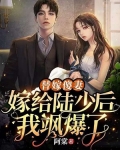 替嫁傻妻：嫁给陆少后我飒爆了