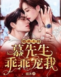 婚从天降：慕先生乖乖宠我