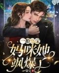 一胎三宝：妈咪她飒爆了